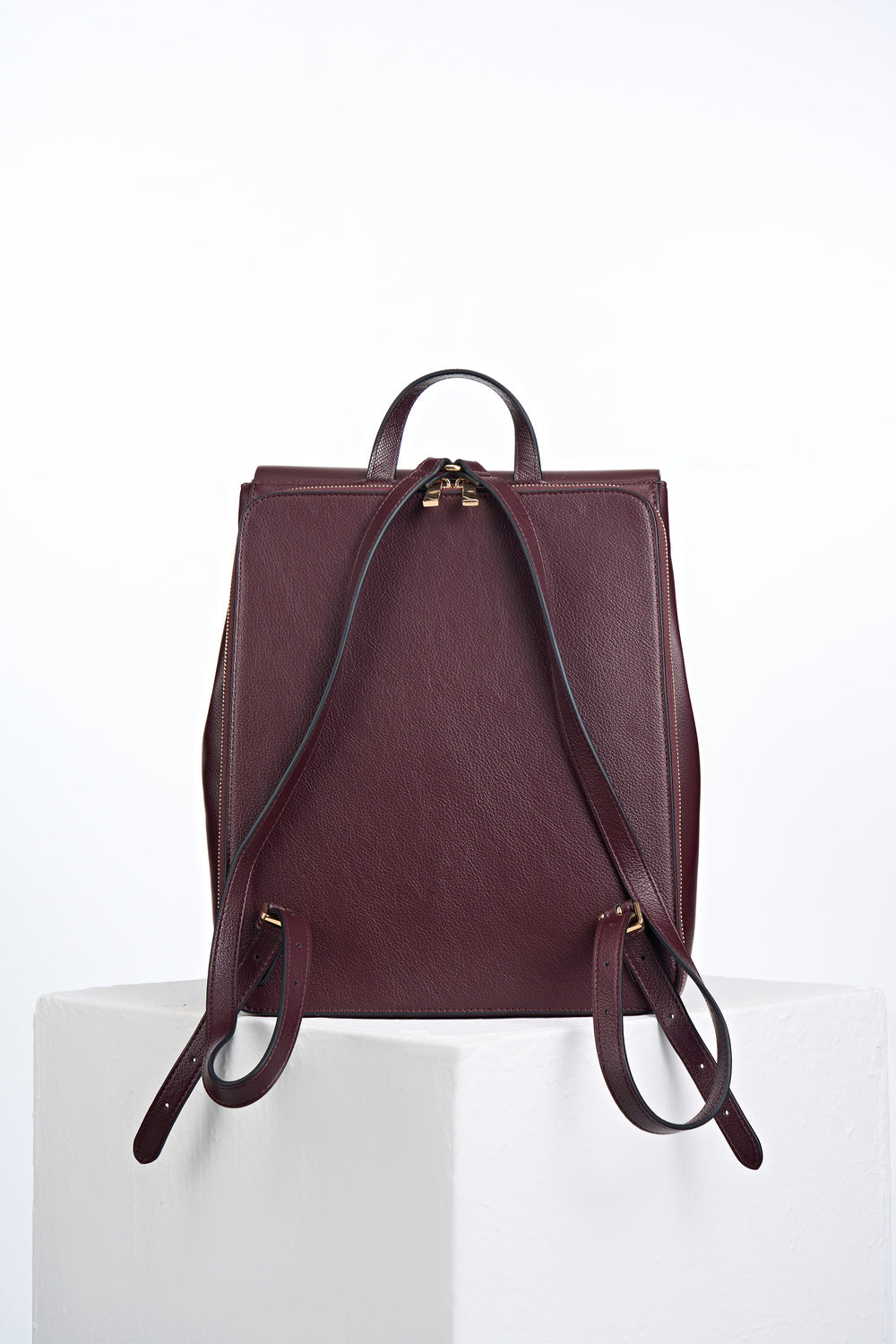 Casey Black Cherry Laptop Backpack
