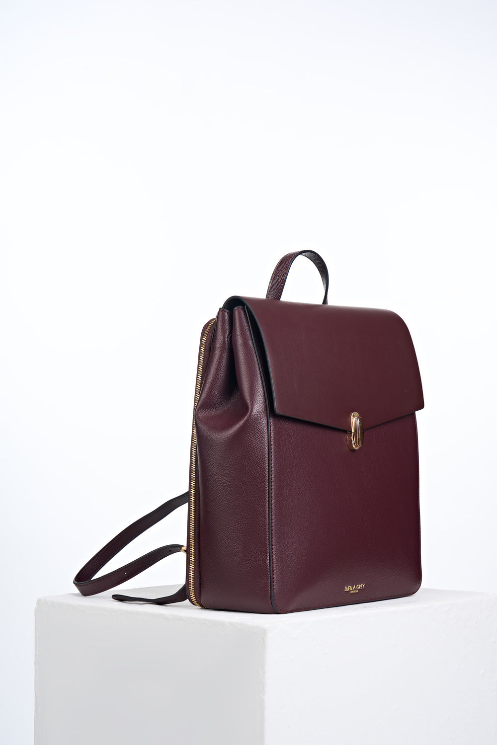 Casey Black Cherry Laptop Backpack