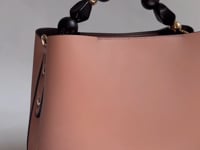 Video of Danilelle Tote with details 