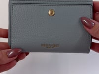 Millen Powder Blue Small Purse